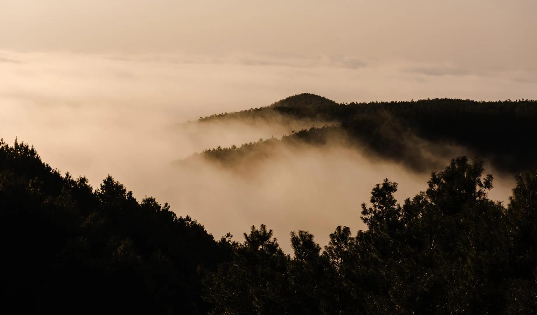 西双版纳10日行——走遍春夏秋冬，总会有人四季等你。