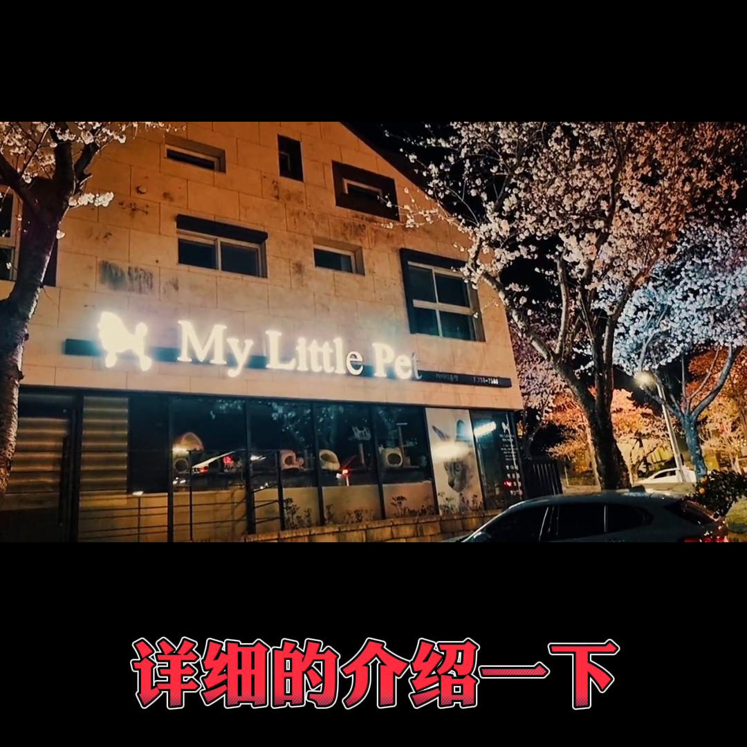 去韩国的济州岛是免签了吗,韩国济州岛免签打工