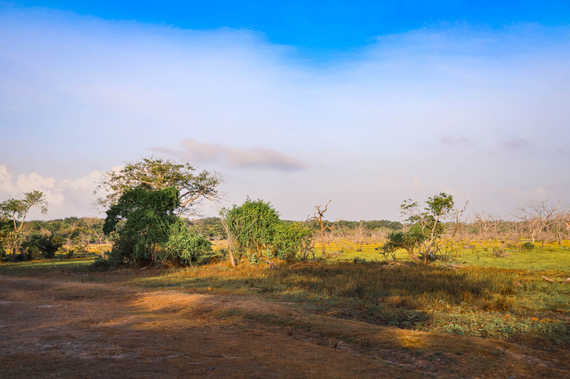 斯里兰卡旅游攻略必去景点,斯里兰卡旅游攻略最佳时间
