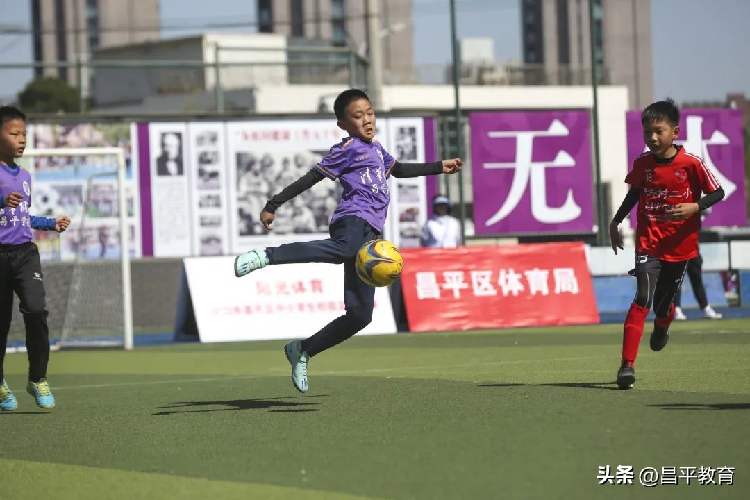 赋能于师丨城区学区在行动!