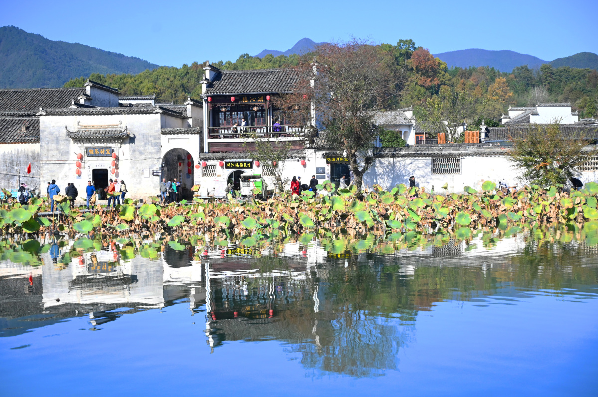 安徽黄山旅游报团报价,黄山当地旅游团三日游价格