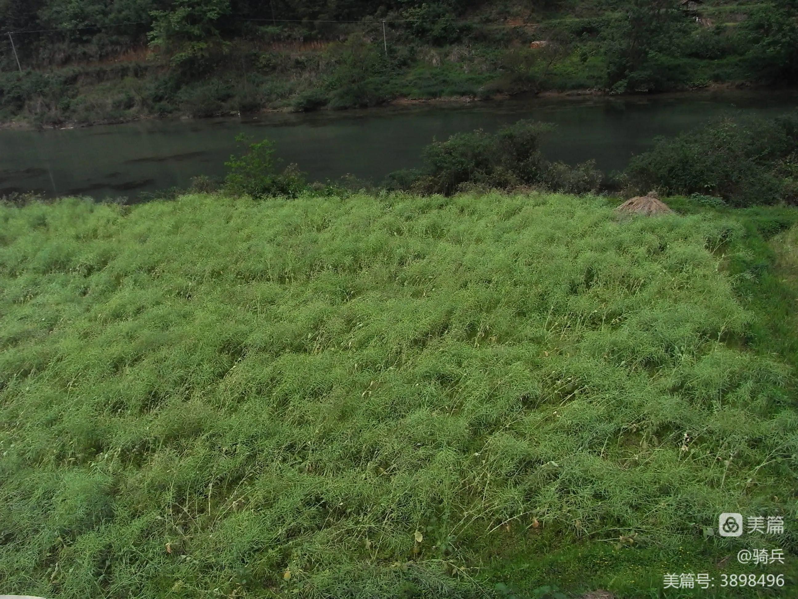 骑游三省之广西（17）龙胜——（湖南）靖州