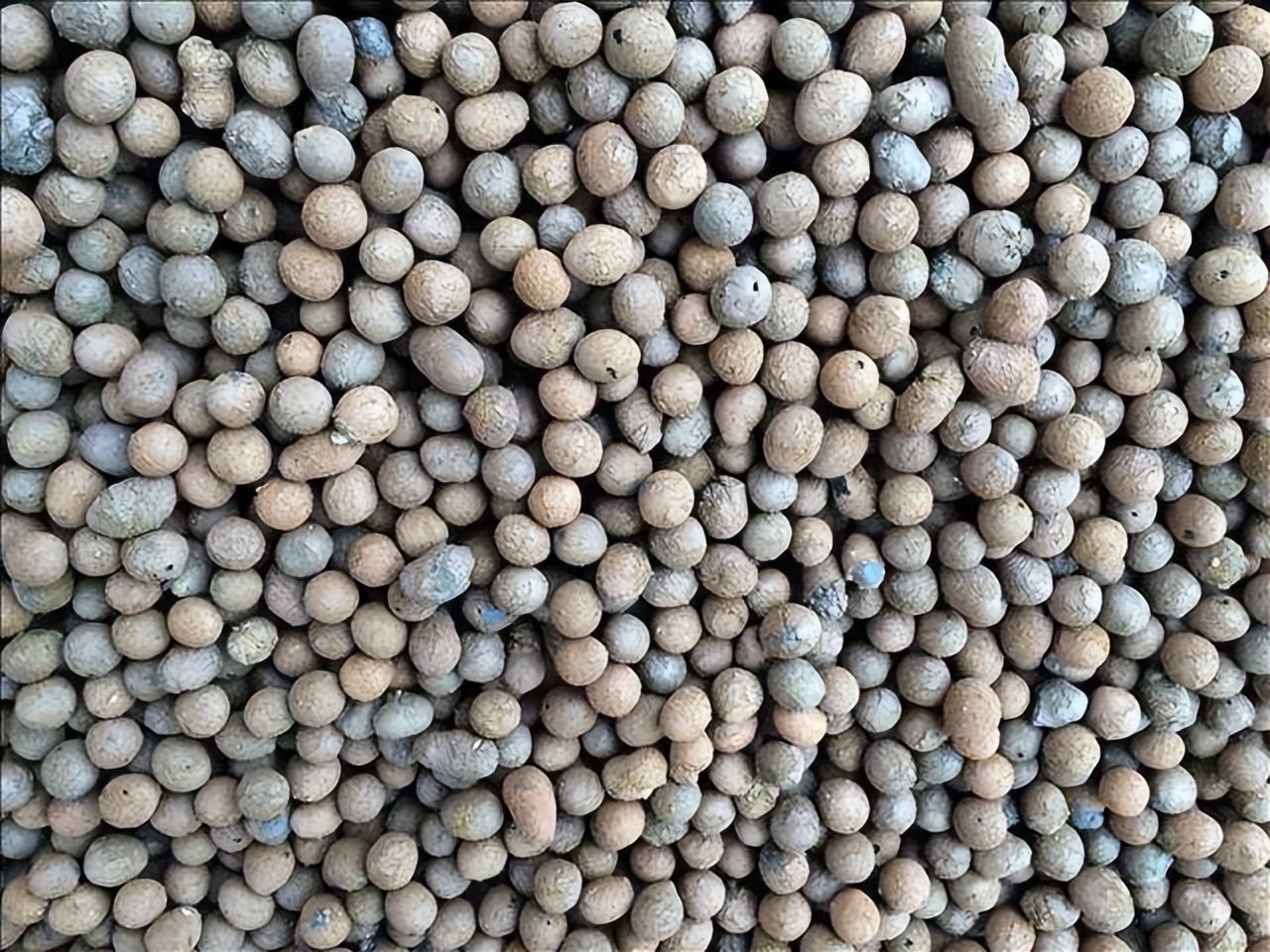 养花缺氮肥怎么办,养花收空盆