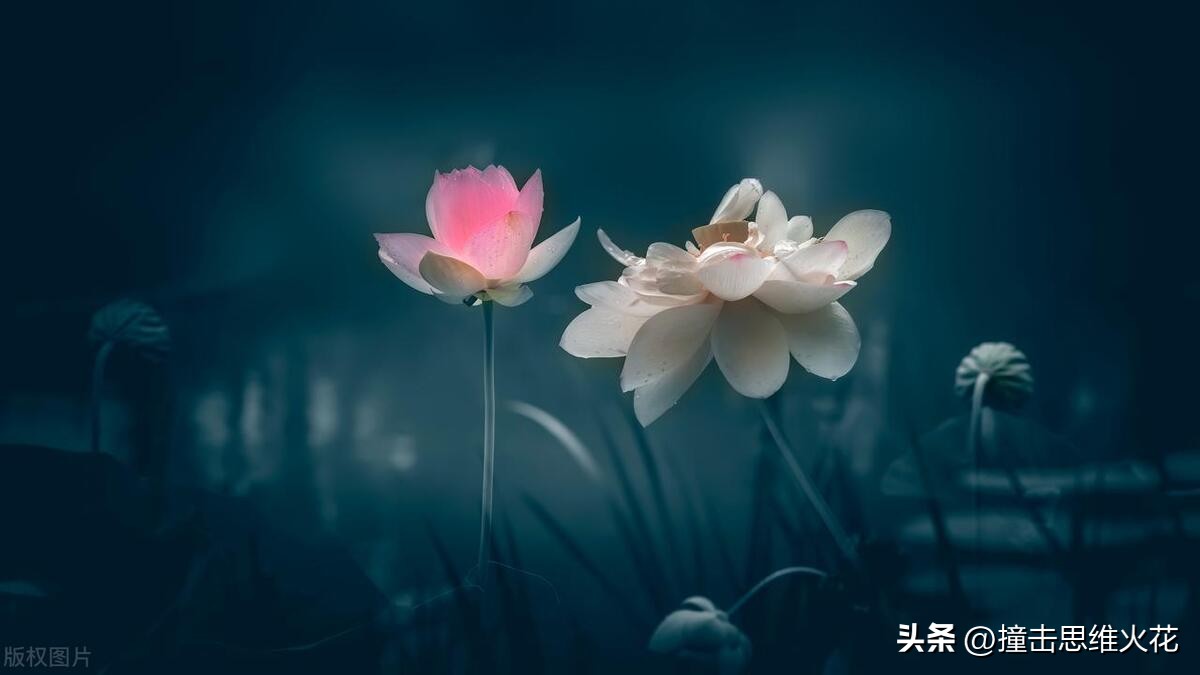 2023年度工作总结亮点及不足,2023年度工作总结2024年工作计划