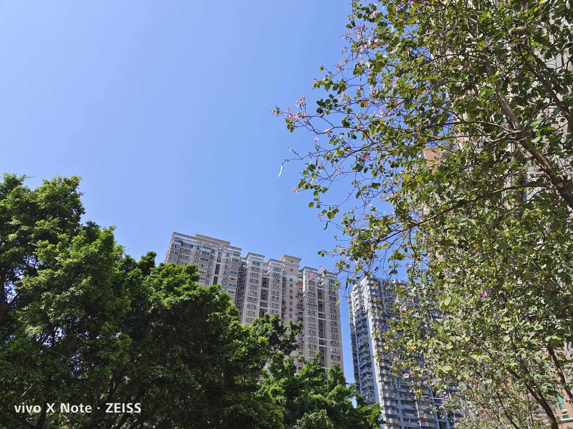 小白vivoxnote评测7寸巨屏,vivoxnote实际使用评测