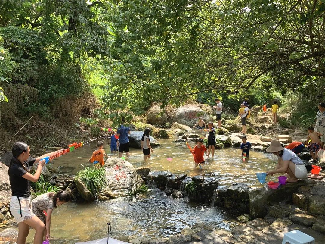 从化东成荷花园,从化摘荔枝之旅