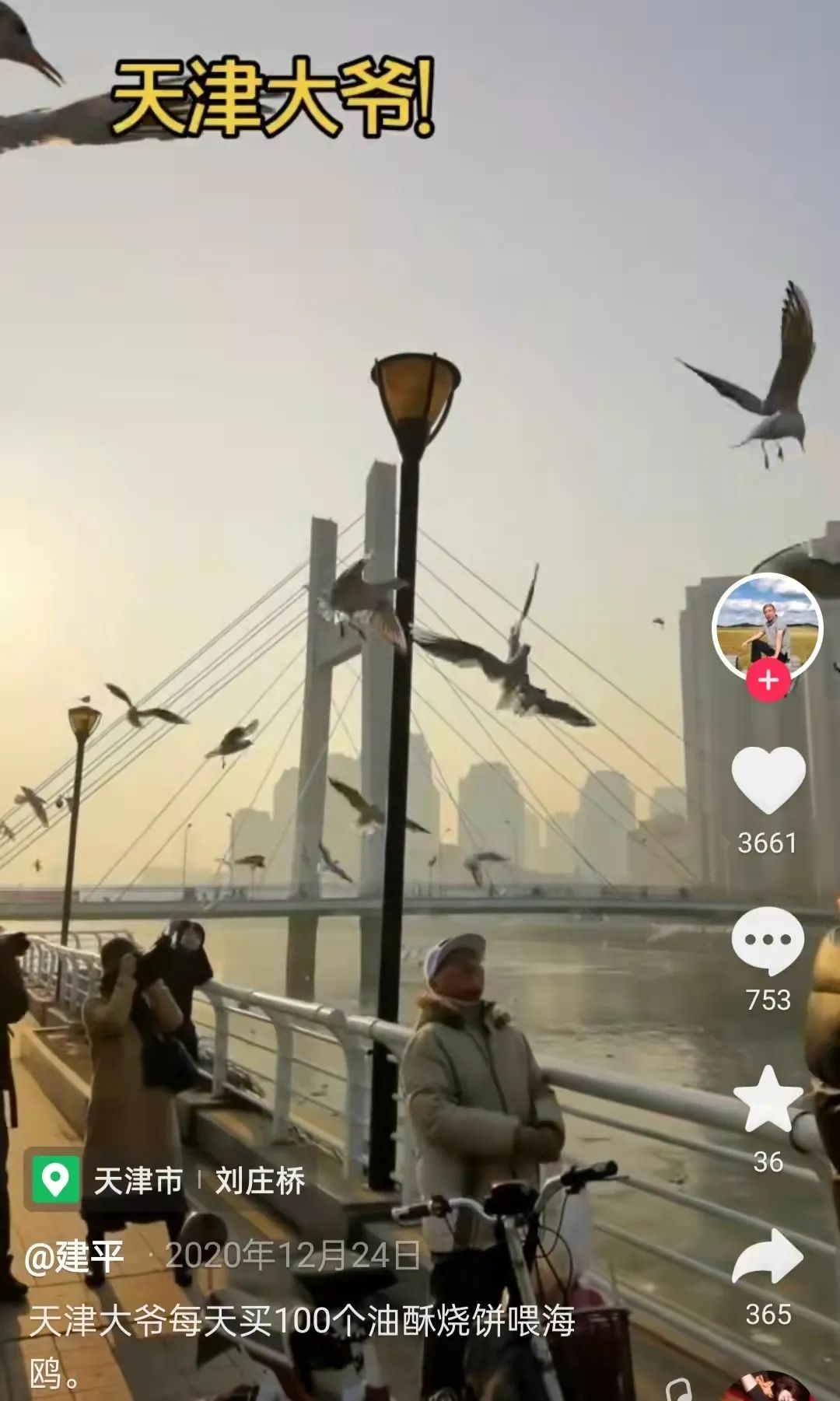 天津人就是哏儿,天津人真哏儿