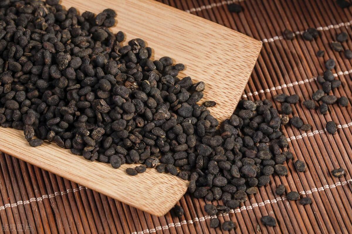 中医治疗精索静脉曲张引起的不育,中医治精索静脉曲张弱精症偏方