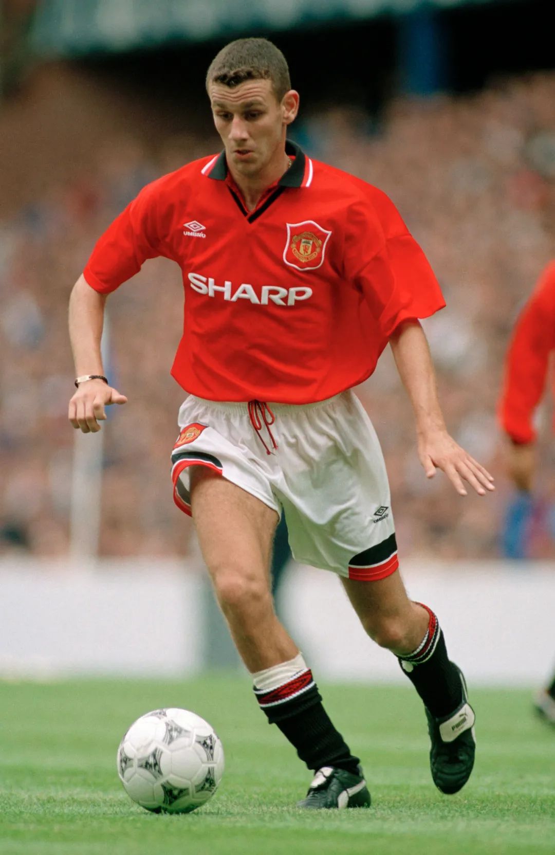 塞尔赫斯特公园实景,塞尔赫斯特公园