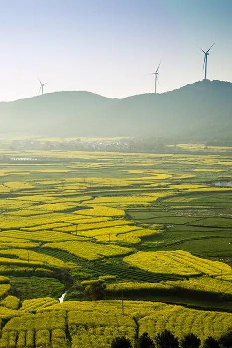 这里是人间仙境歌词,这里是人间仙境