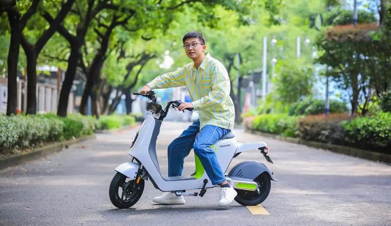 雅迪爱玛新日电动车哪个好,九号雅迪爱玛新日电动车哪个好