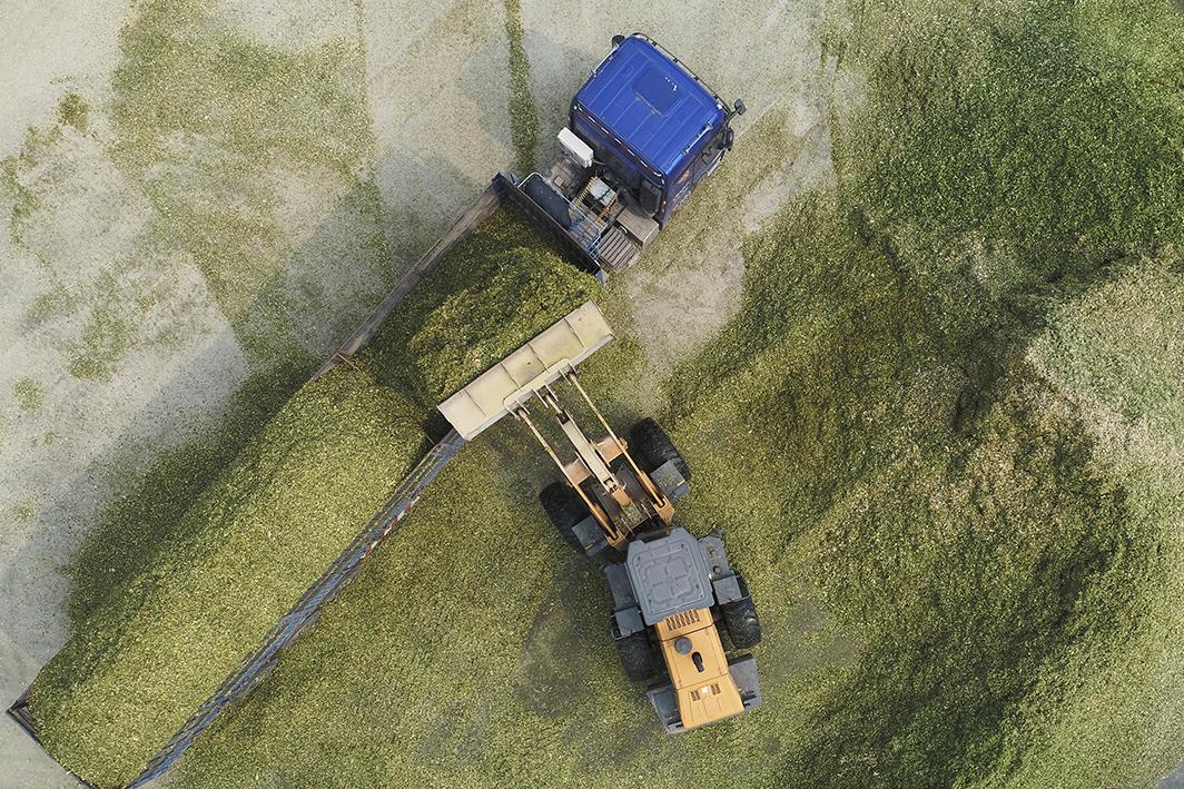 一台收割机9小时收割小麦45公顷,最新款玉米收割机青储收割视频