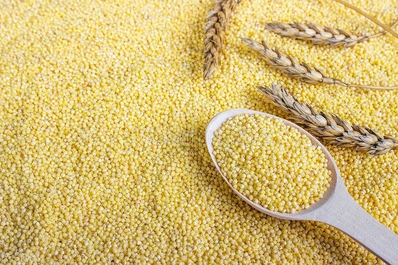 临沂是我的家乡,我的家乡是山东临沂