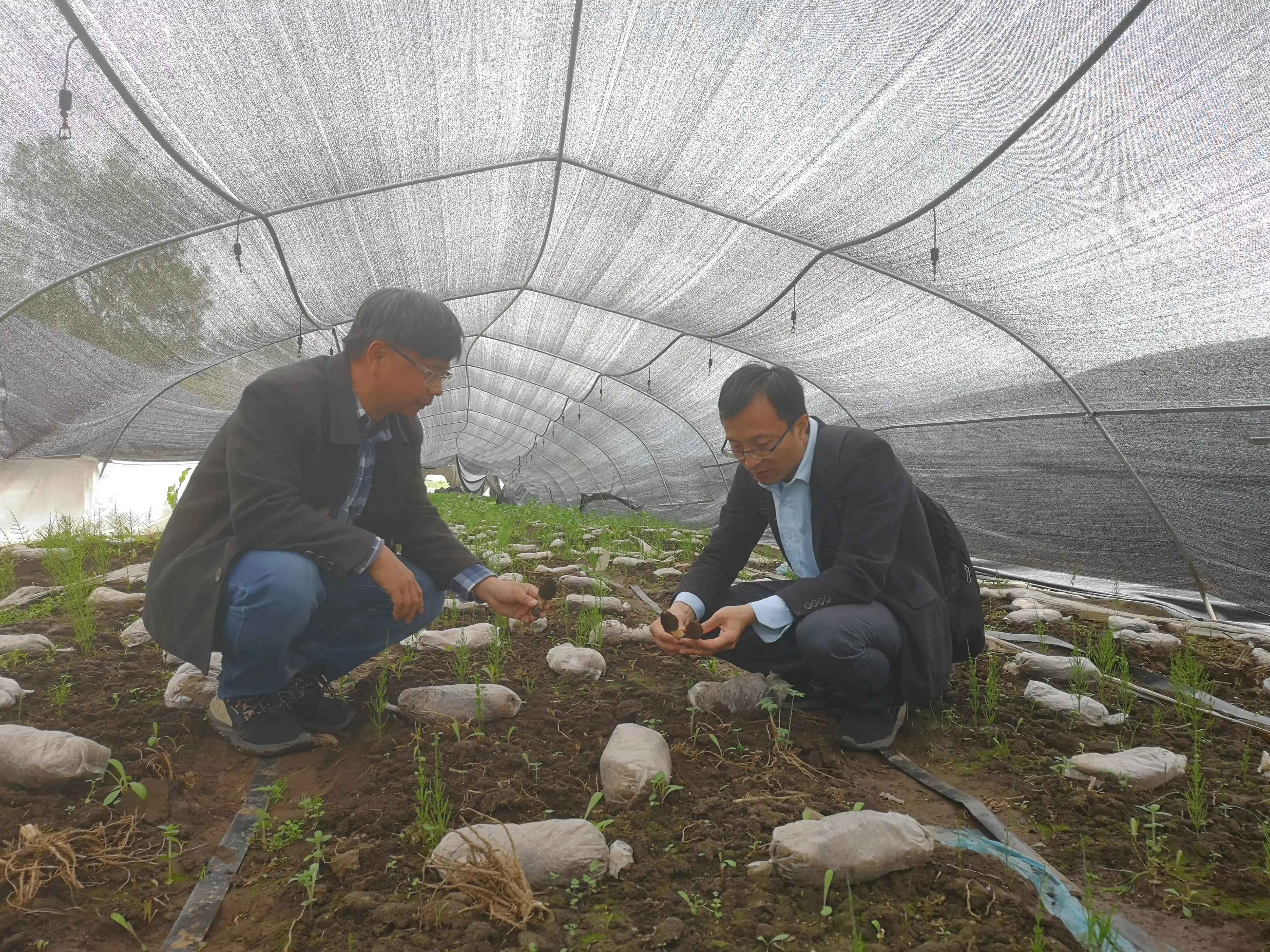 福建省亚热带植物研究所历届所长,福建省亚热带植物研究所领导