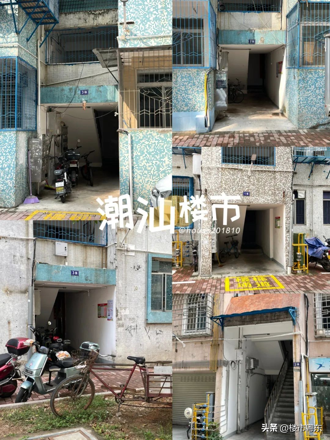 “指南里”一夜爆红！汕头桃园小区申请红花老姨出战！