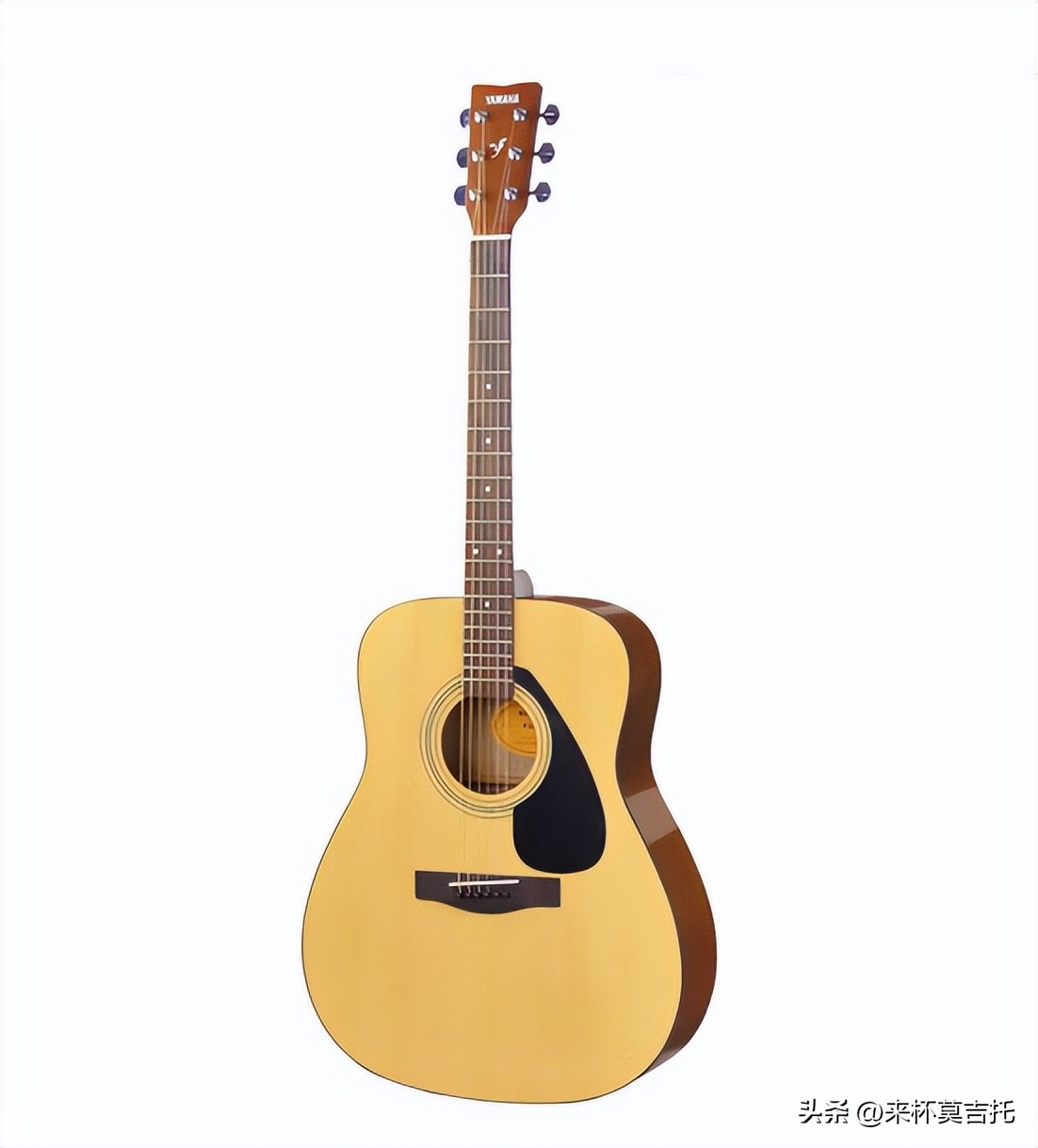 新手该如何选择入门吉他,初学者入门吉他推荐哪款好学