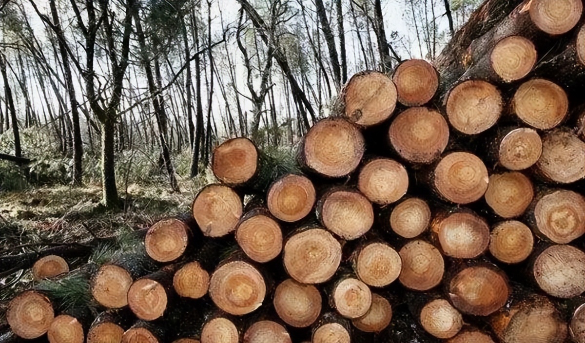 北仑疫情还回得了家吗,北仑疫情出不去了么