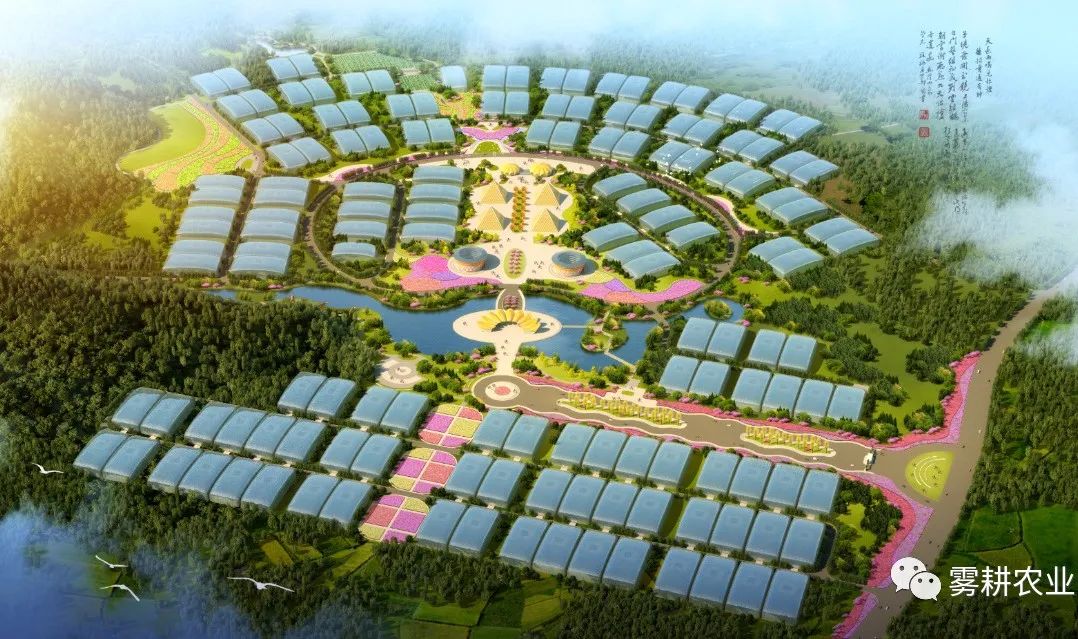 雾培蔬菜种植技术视频,在家水培蔬菜水果种植技术