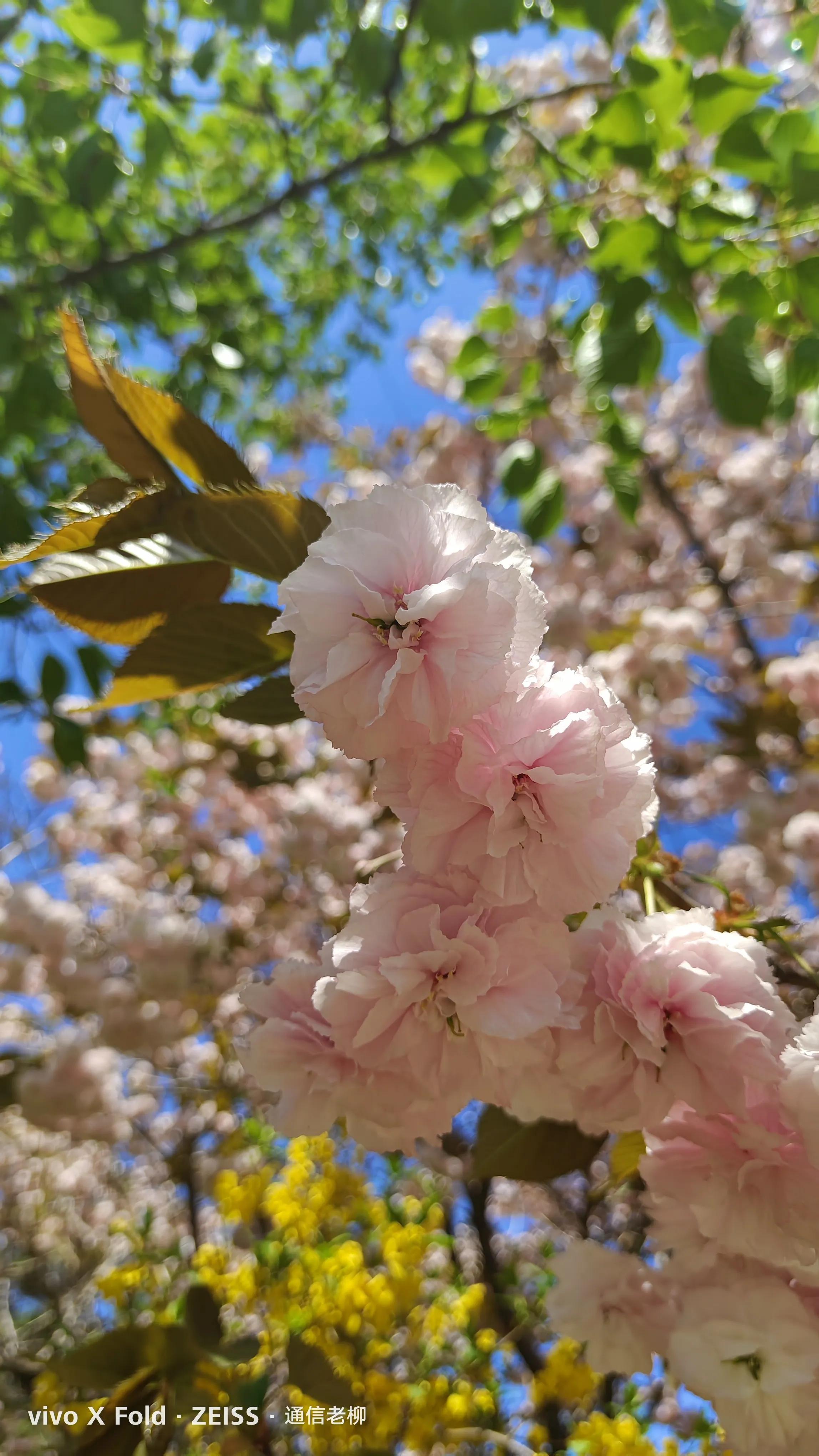 vivoxfold折叠屏手机怎么样,vivoxfold折叠屏手机值得入手吗