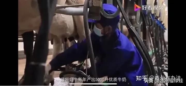 如何选择一款放心的牛奶,平价纯牛奶选择