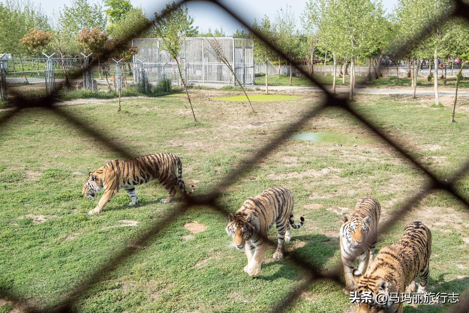 宿州到底有多好耍,宿州世外桃源好去处