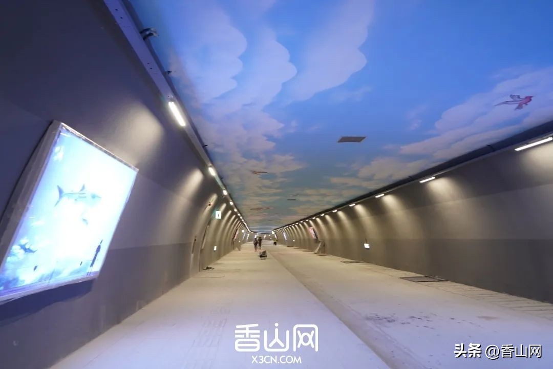 珠海免费观光港珠澳大桥,珠海哪座山可以看港珠澳大桥