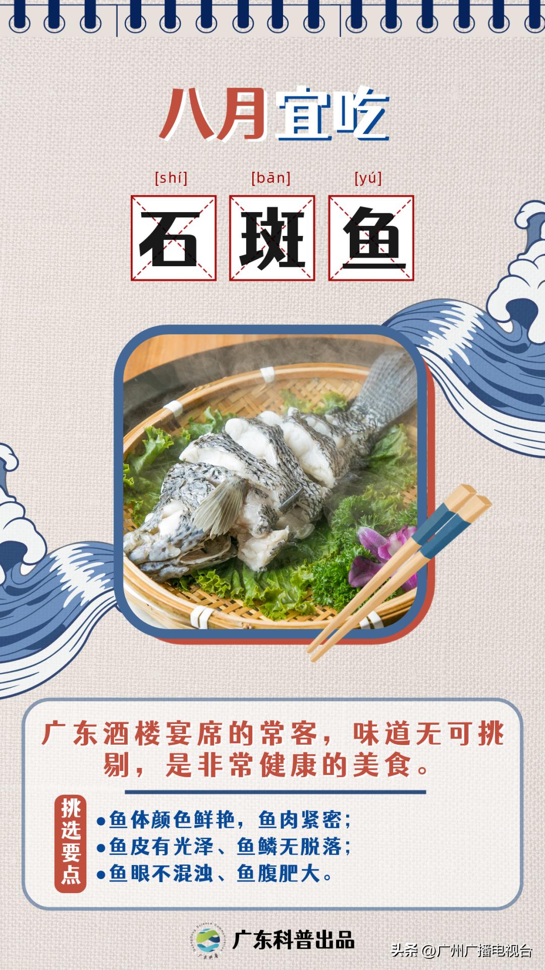 休渔期到了吗,开渔期的广东海鲜市场