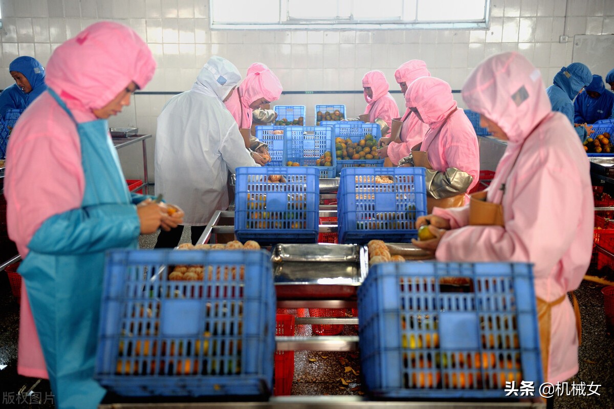 小型食品加工厂装修有什么要求,工厂装修注意事项