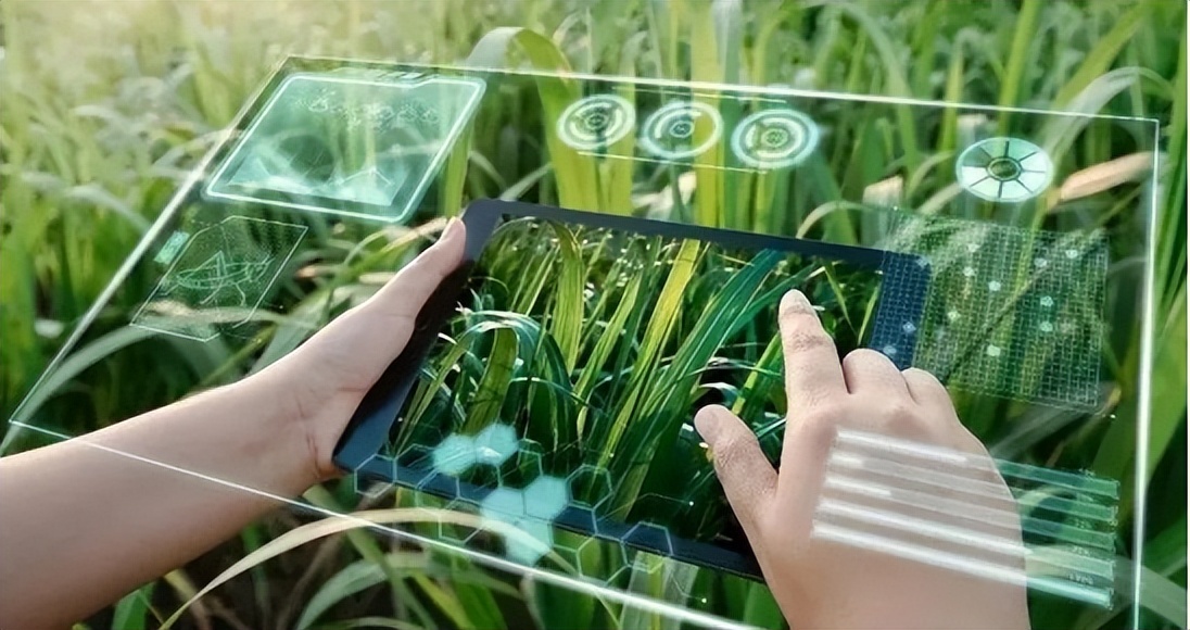 我国温室产业的发展历程,中国温室大棚发展前景图