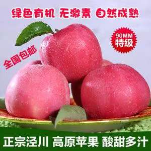 泾川文汇足球队队员简历,惊奇足球