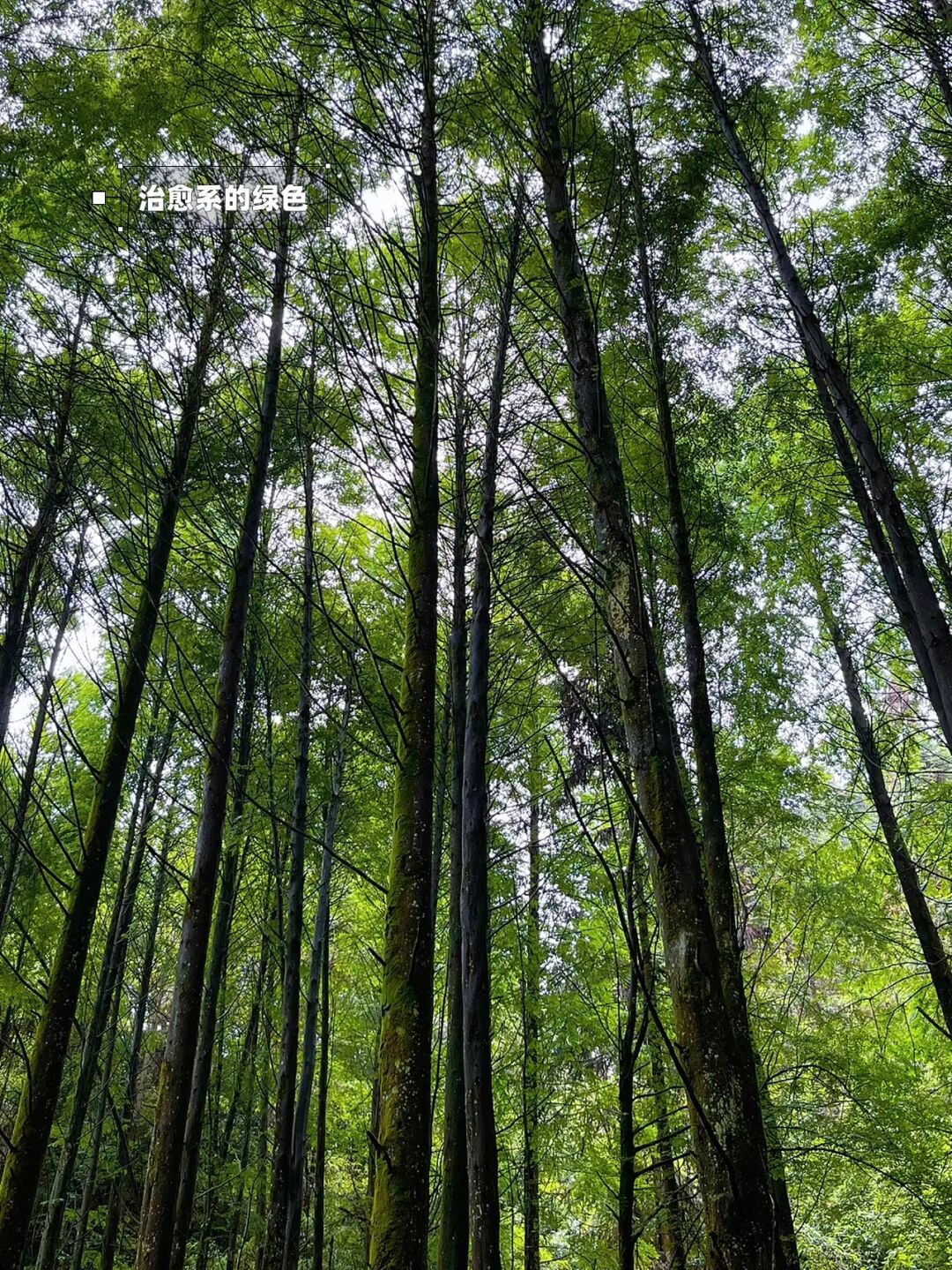 避暑旅游景点看山看水,清凉避暑好去处雪溪洞一日游