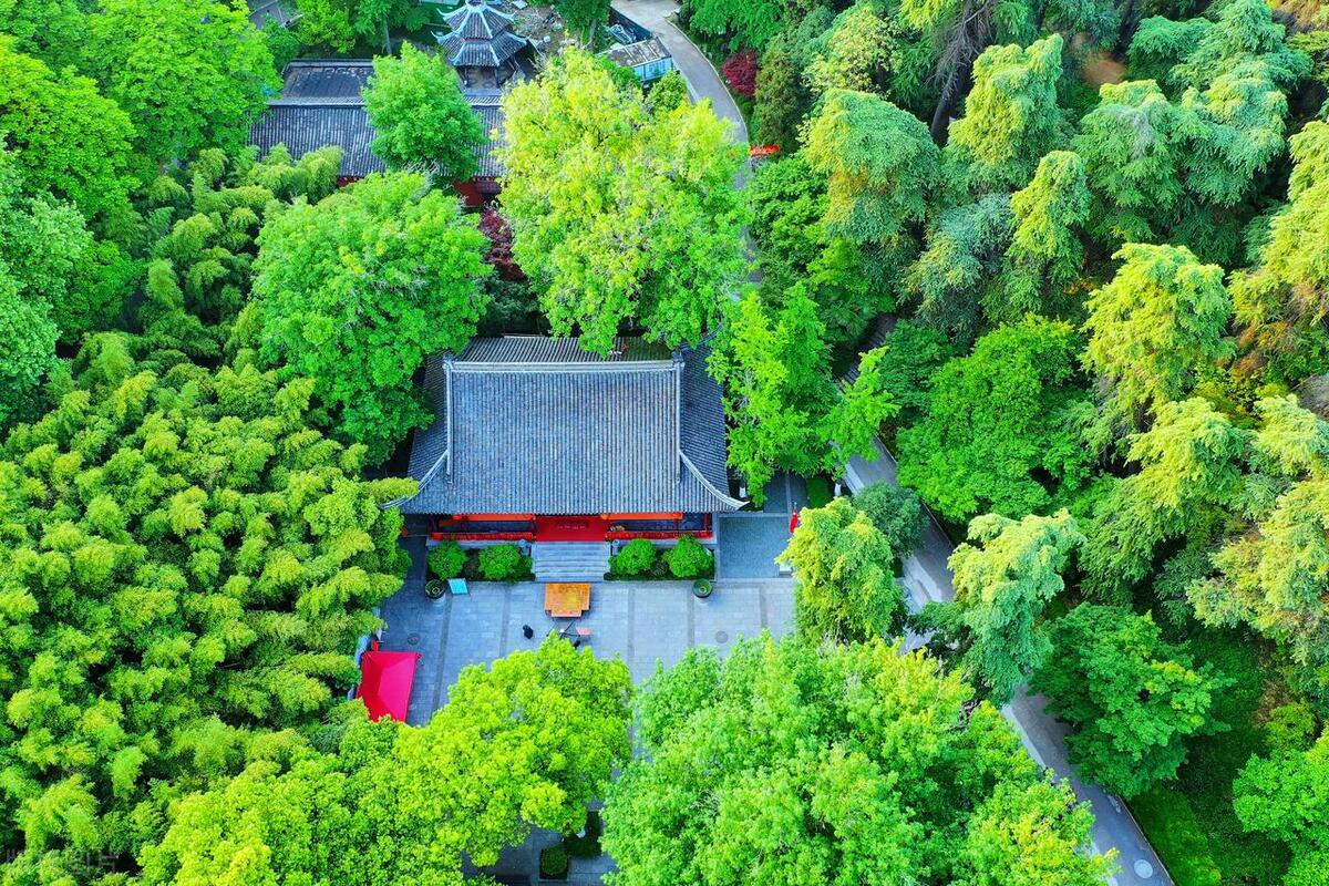 南京值得去的免费景点旅游攻略,南京旅游必去的景点一日游免费