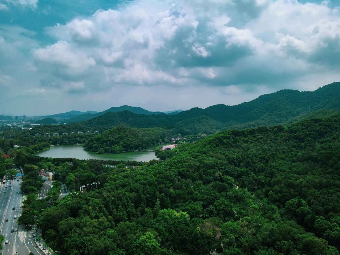 白云说：“广州乐土”“后发优势”，你在赞我还是diss我？