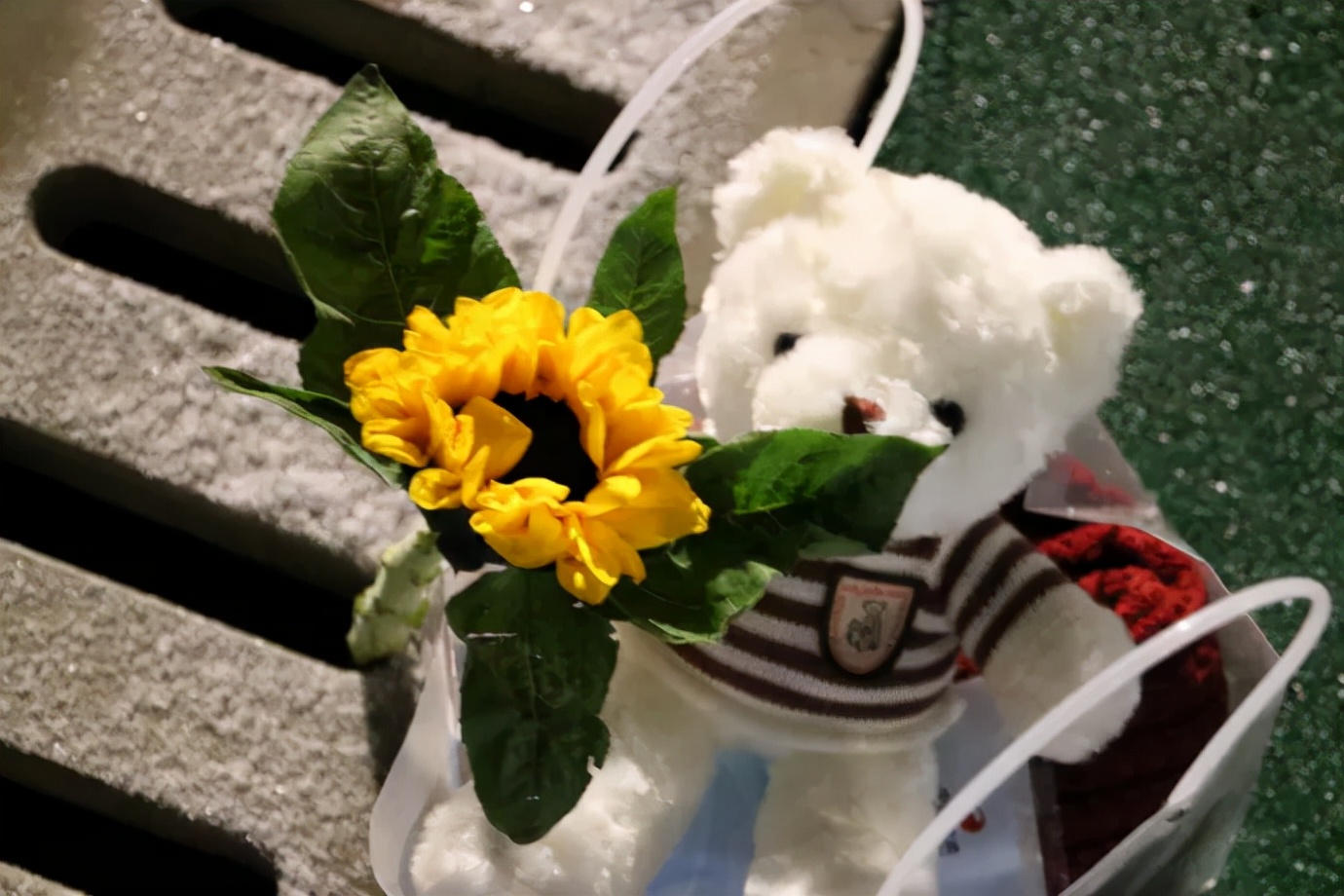 瓒崇悆缁忕悊澶х綏,瓒崇悆缁忕悊缃楃撼灏斿