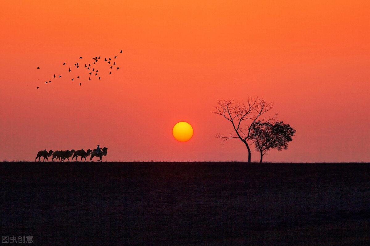 山寨机鼻祖陈金陵,华强北山寨机大王陈金陵哪里人