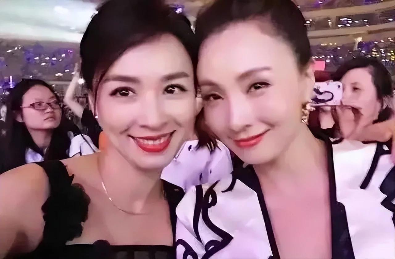 陶虹可惜了,陶虹迎来了人生第二个转折点