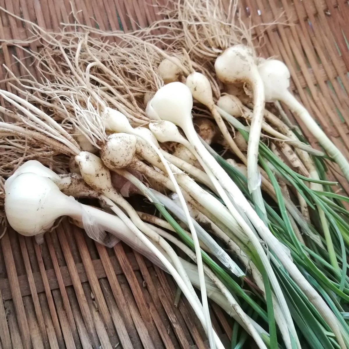 河南农村八大怪,农村8个怪菜