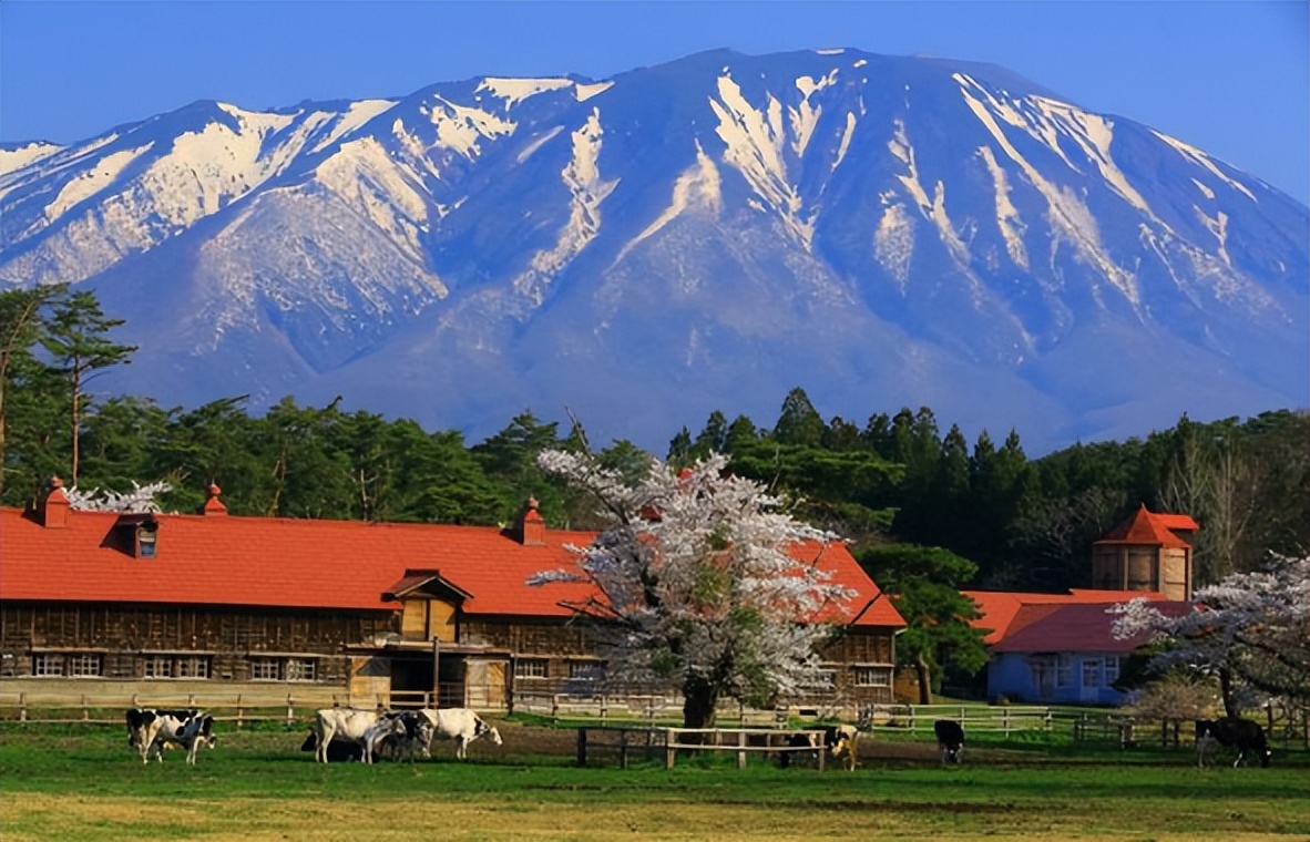 日本酒有哪些产区,日本酒三大产区