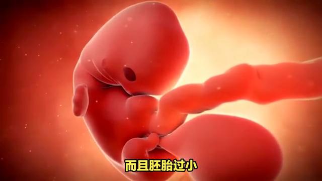 意外怀孕哪个时间段做人流最合适,石狮医院做人流多少钱