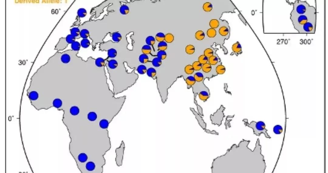 美国34%的混血儿患精神障碍,混血儿精神障碍
