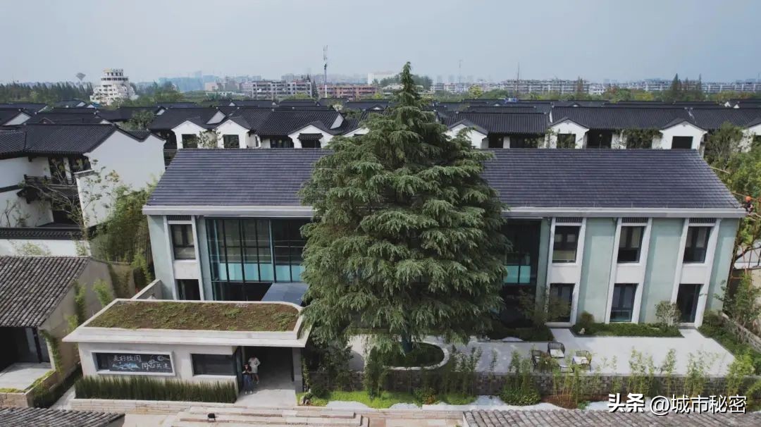 什么是城市有机更新改造,什么是城市有机更新