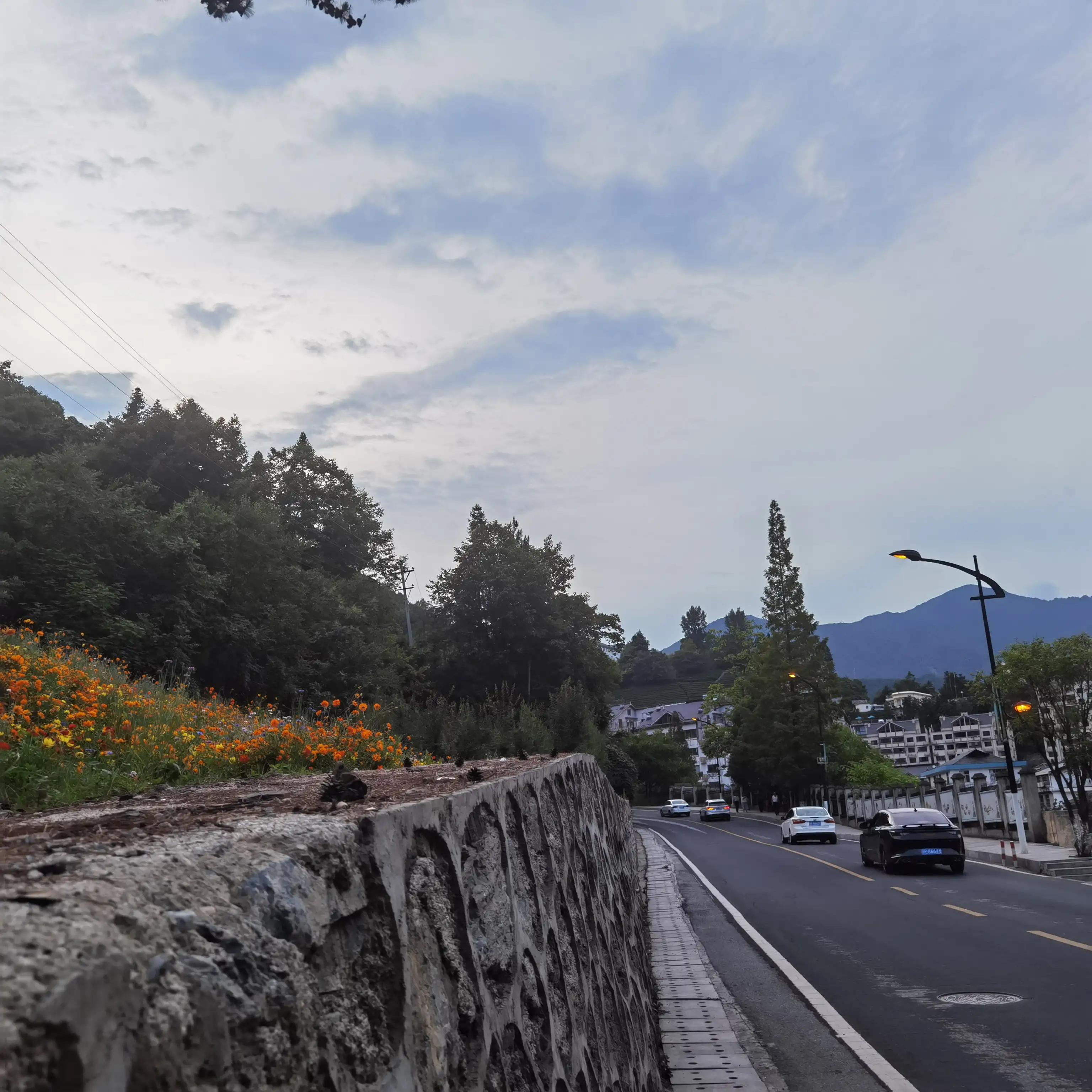 神农架木鱼镇老地方,神农架木鱼镇历史