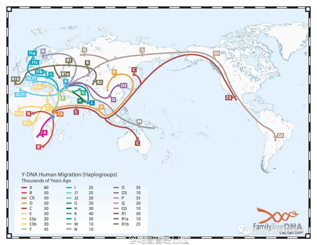 基因测序出结果了,基因测序结果有哪些