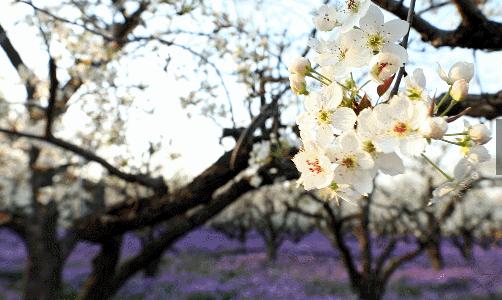 小暑牵三伏养生有讲究,小暑的三忌讳