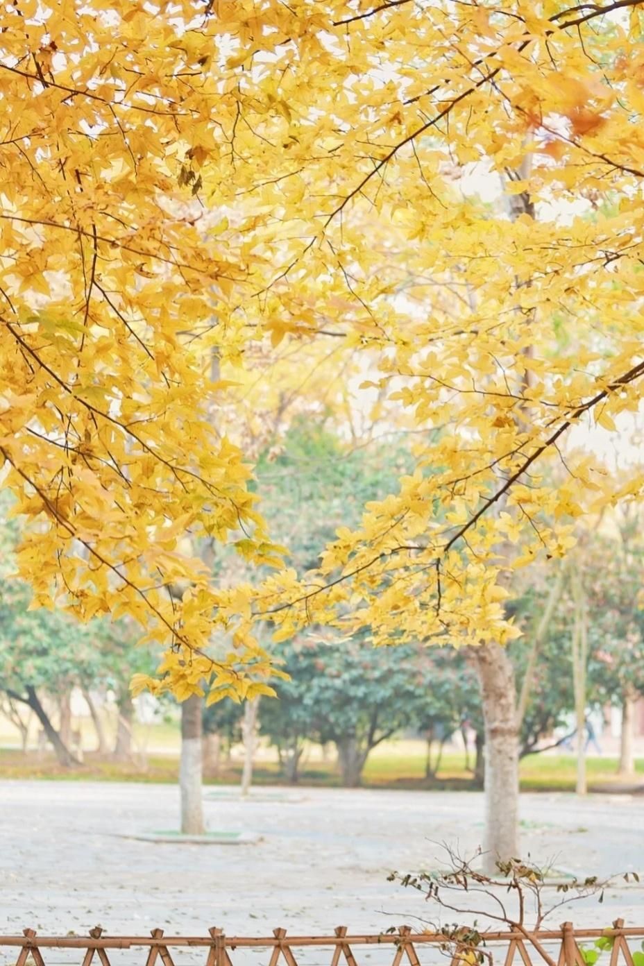 表达爱意异地恋的诗词,表达异地恋相思相见的诗句