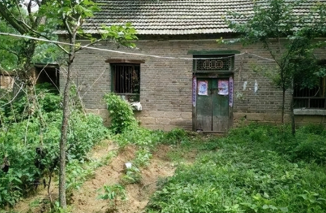 农村的家蛇是什么蛇,农村有句俗话家里进了蛇不能打