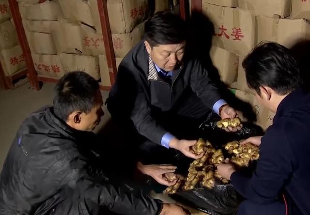 山东男子创办生姜加工厂,男子种植生姜带头致富