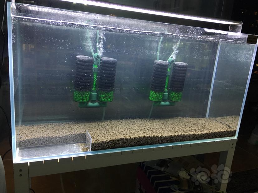 介绍鱼缸过滤系统的视频,一个鱼缸可以装两个过滤系统吗