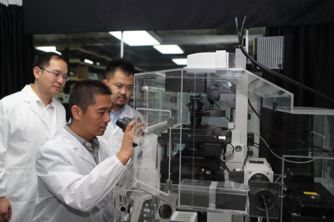 人民日报有关创新的文章,人民日报创新项目