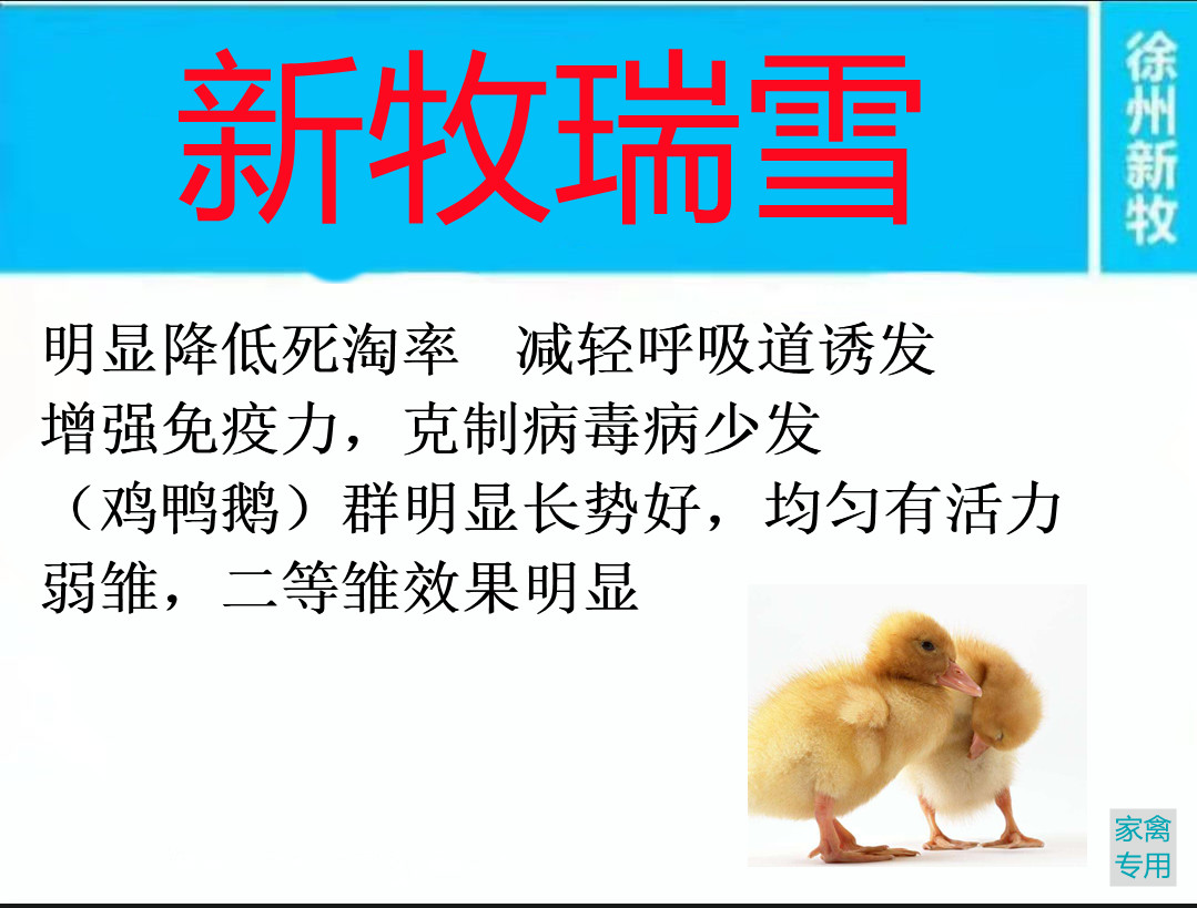 鸭脾坏死是什么引起的雏鸭脾坏死的治疗方法